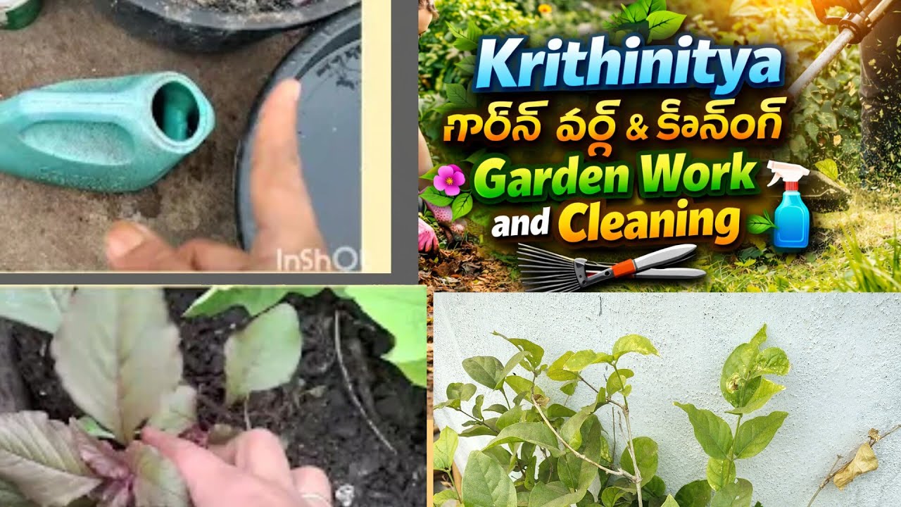 Garden work #garden workgardening tipshome gardeninggarden work daily vlogvillage gardeningvegetable