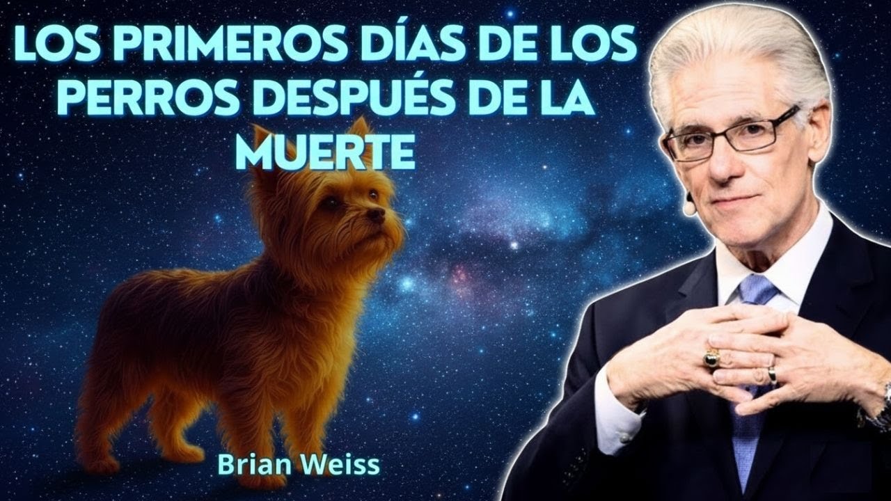 Brian Weiss reveló lo que le sucede al alma de los perros en los primeros días después de la muerte