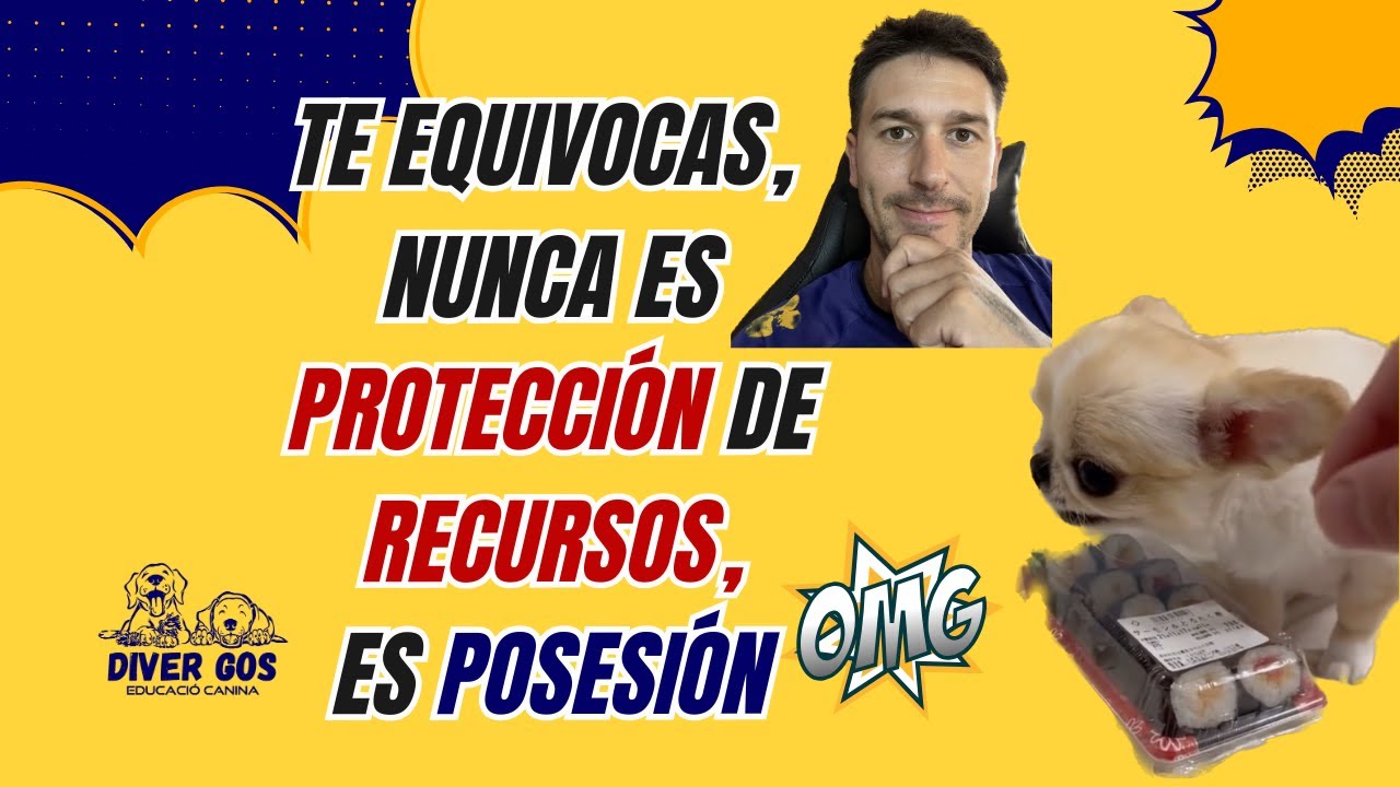 Te estás equivocando no es protección de recursos es Posesión en perros