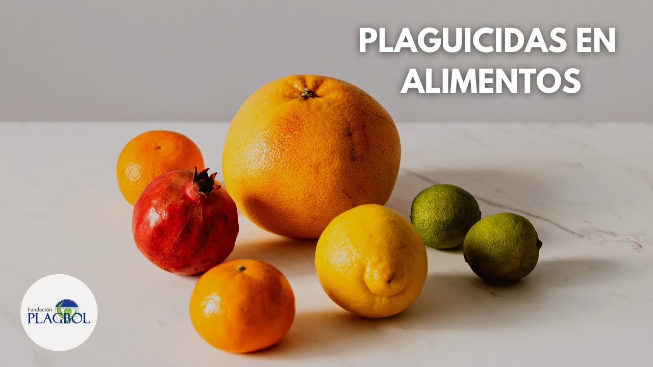 PLAGUICIDAS EN ALIMENTOS