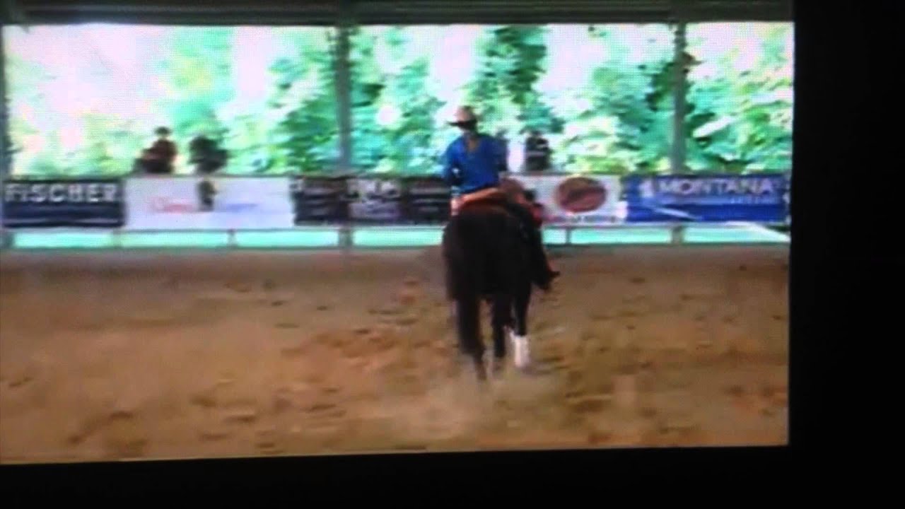 Nuith Linthorst & Quarterhorse Just Miss Enterprise