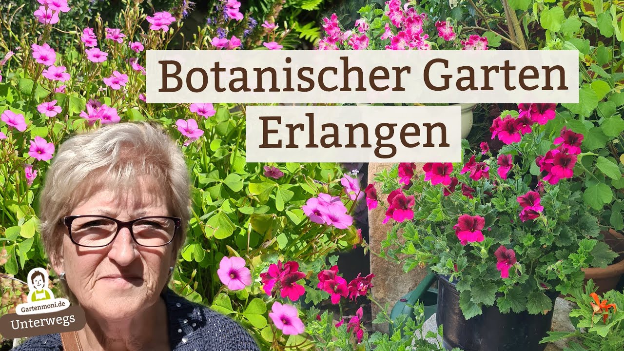 Faszinierende Schönheiten im botanischen Garten Erlangen | Gartenmoni unterwegs
