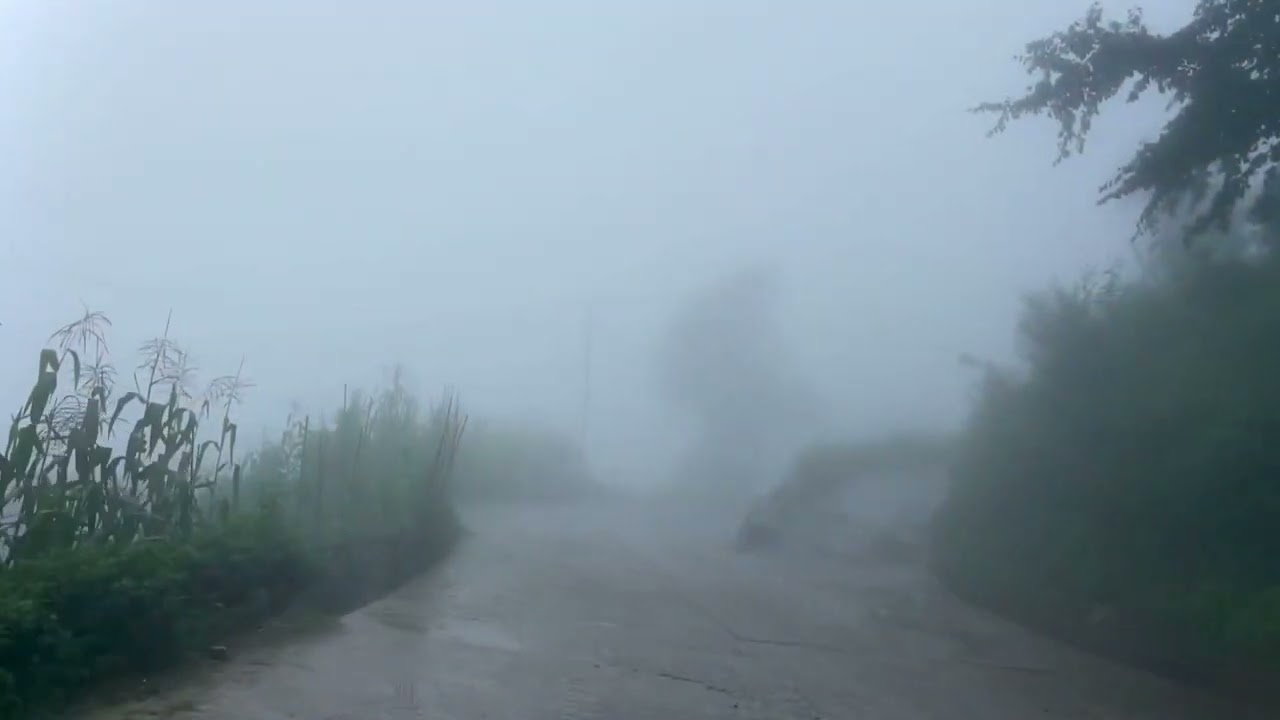 Jorphokhari to gopetar #roadtrip #likecommentsubscribe #foryoupage #nice #stayconnected #everyone