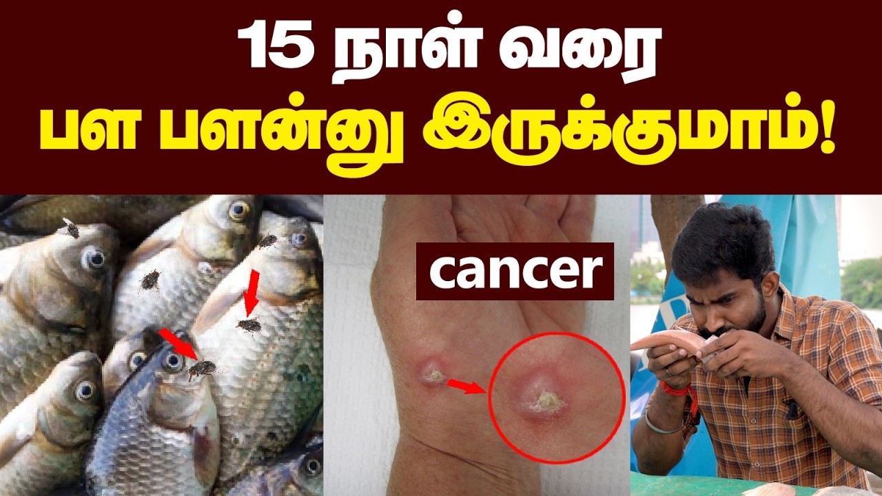 மீன் வாங்குறதுக்கு முன்னாடி இத தெரிஞ்சுகோங்கமீன்😱😱| கெட்டுப்போன மீனை கண்டுபிடிக்கும் எளிய வழிகள்🔥