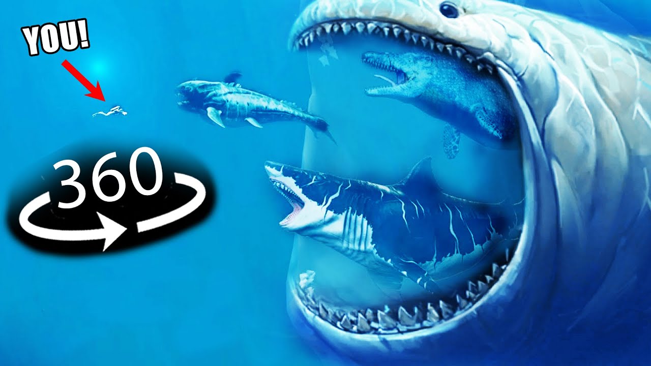 360&deg; - Sea Monsters Size Comparison | 3D Virtual Reality Experience