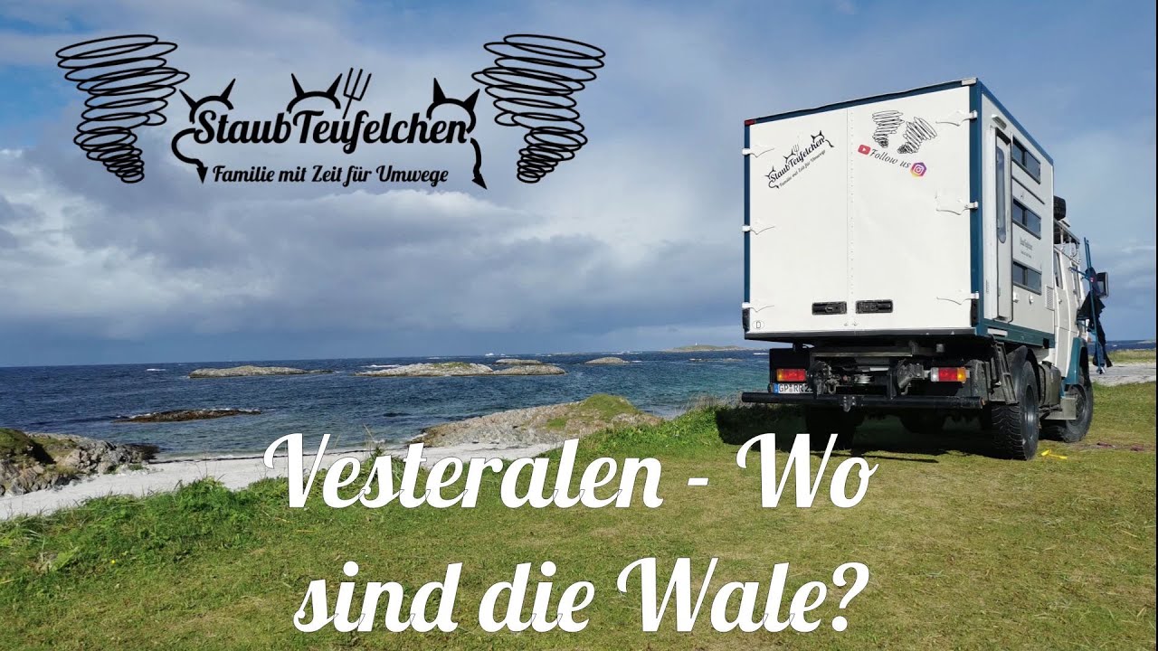 [3] Vesteralen - Wo sind die Wale? /Norwegen