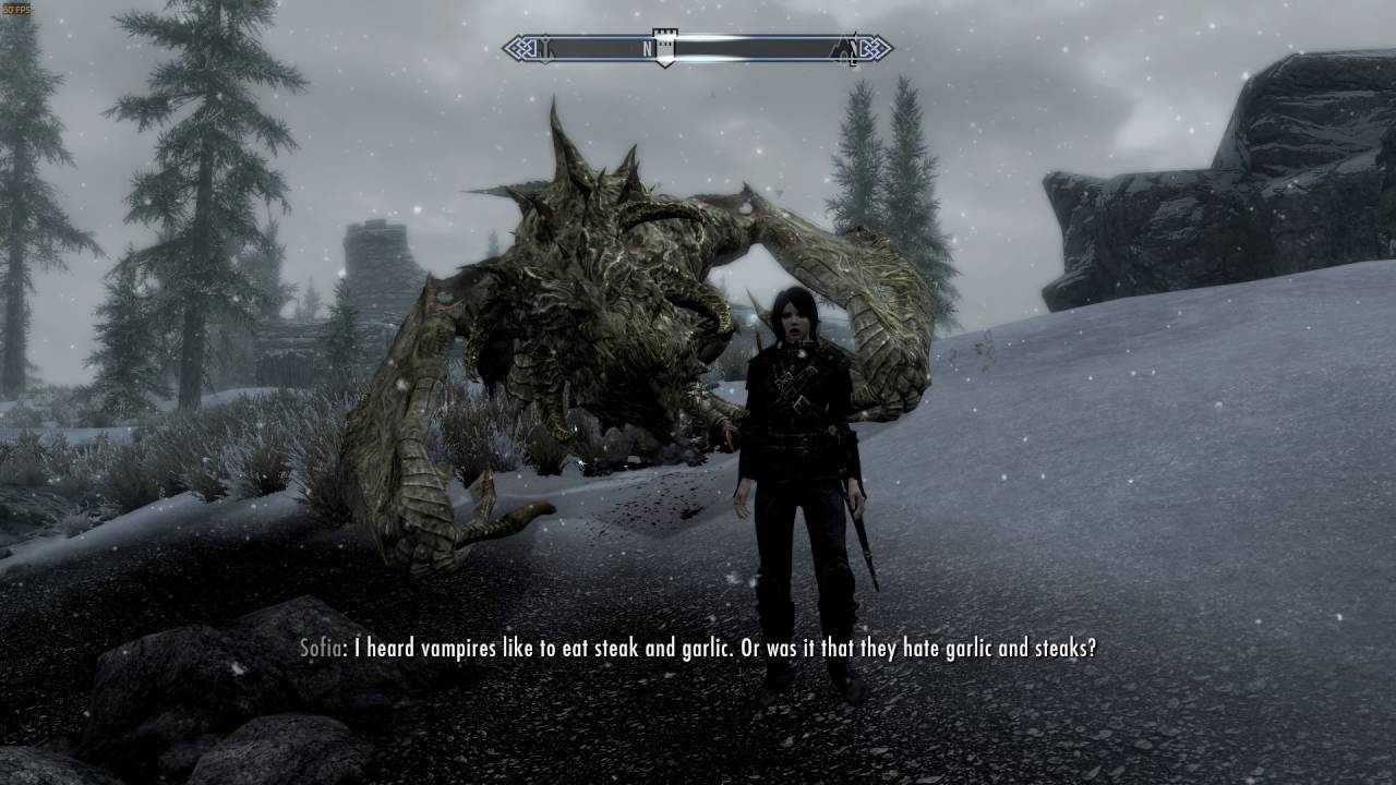 Skyrim - Durnehviir being an asshole
