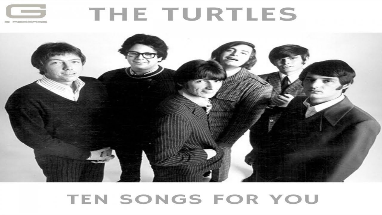 The Turtles 