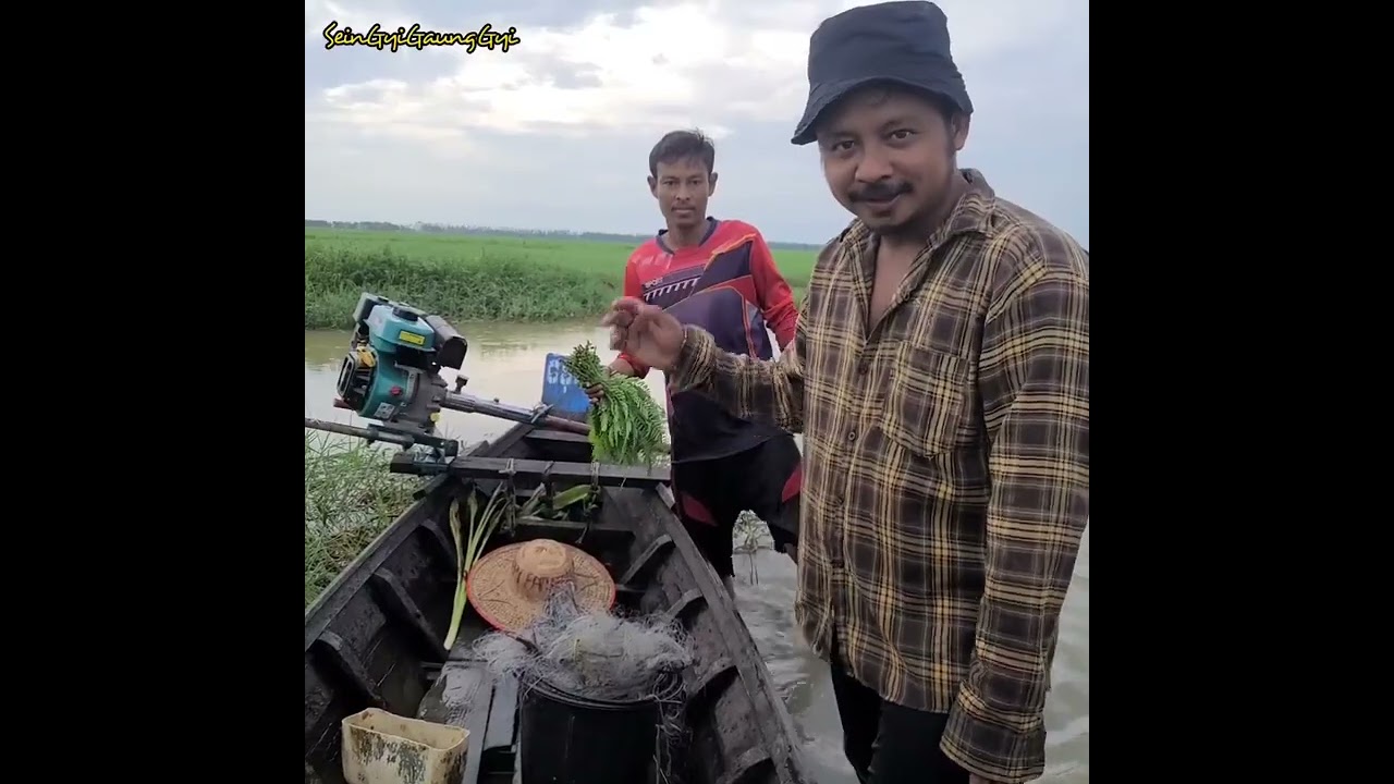 လယ်ထဲမှာပိုက်ထောင်ပြီး ချက်စားကြမယ်😊😊