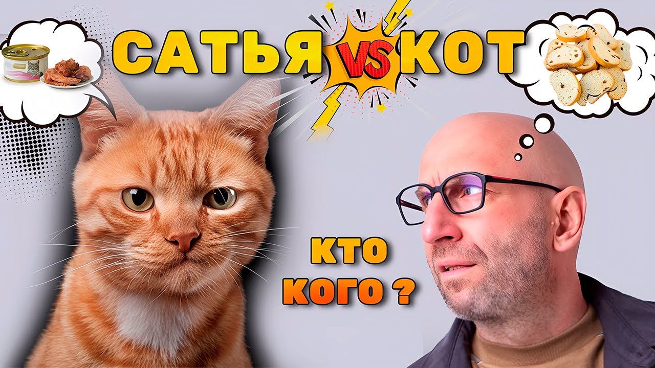 История про КОТА | Сатья Дас #Сатья #сатьядас  #семья  #психология #веды