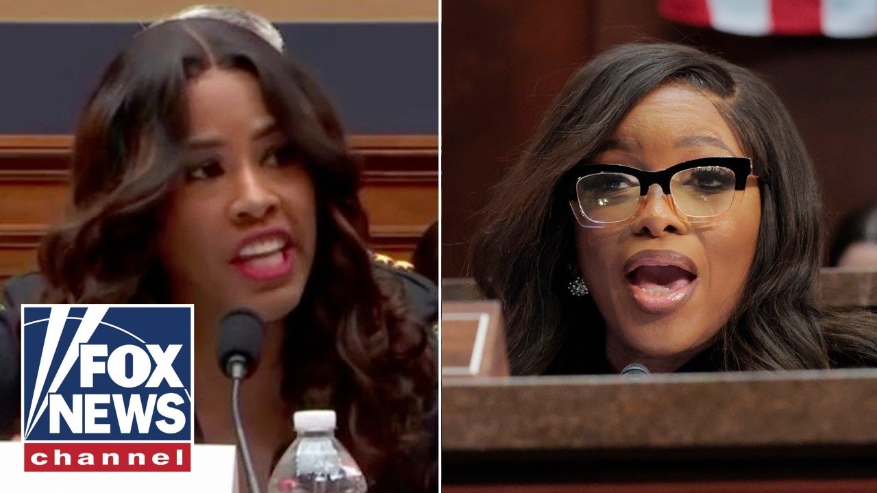 Chicago resident UNLOADS on Dems at sanctuary city hearing