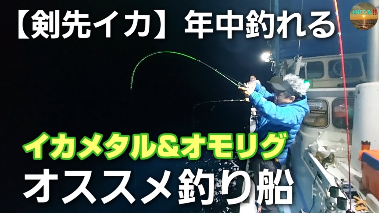 年中【剣先イカ】が釣れる…尾鷲市早田港釣り船【時丸】冬季も案外出船出来る