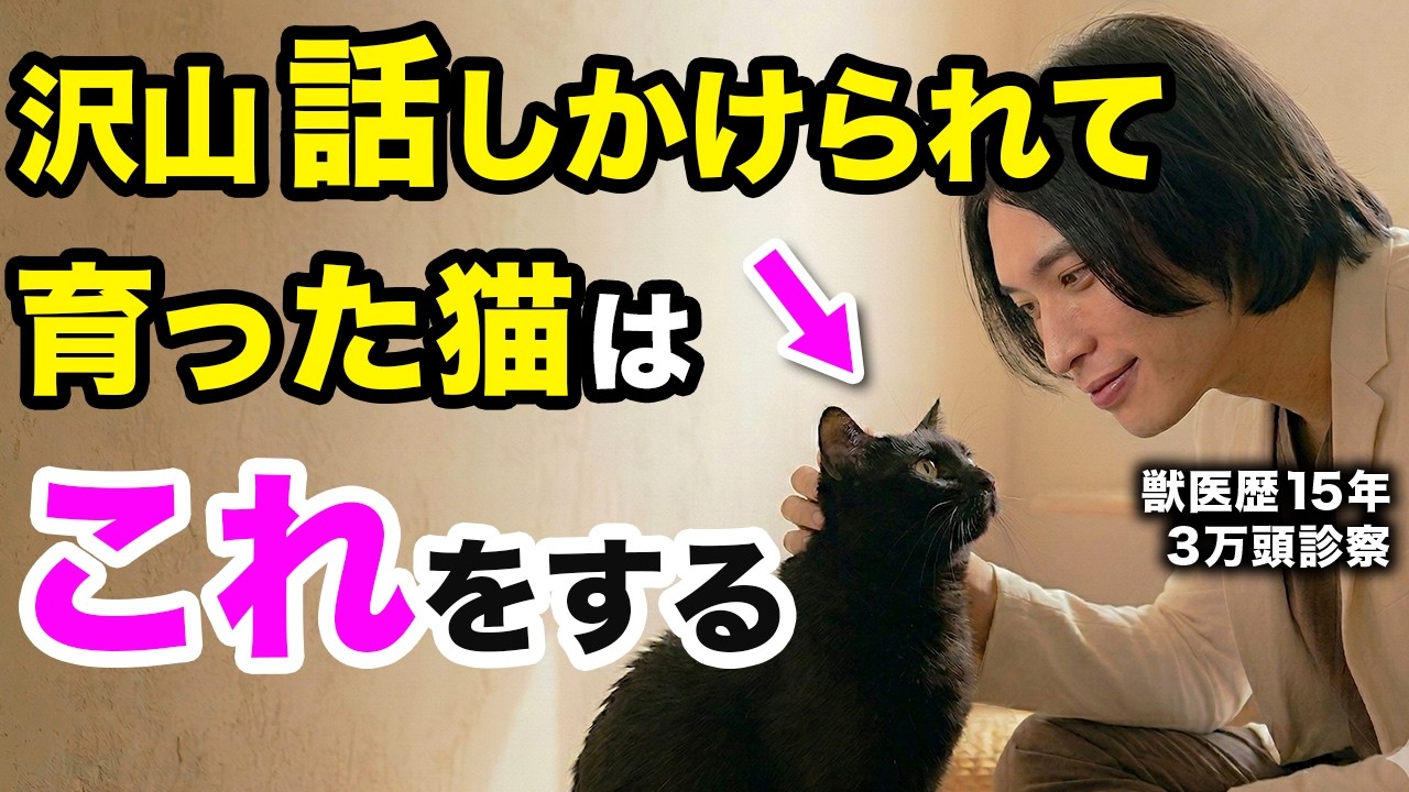 【しっかり伝わってます】たくさん話しかけられた猫「だけ」に見られる変化