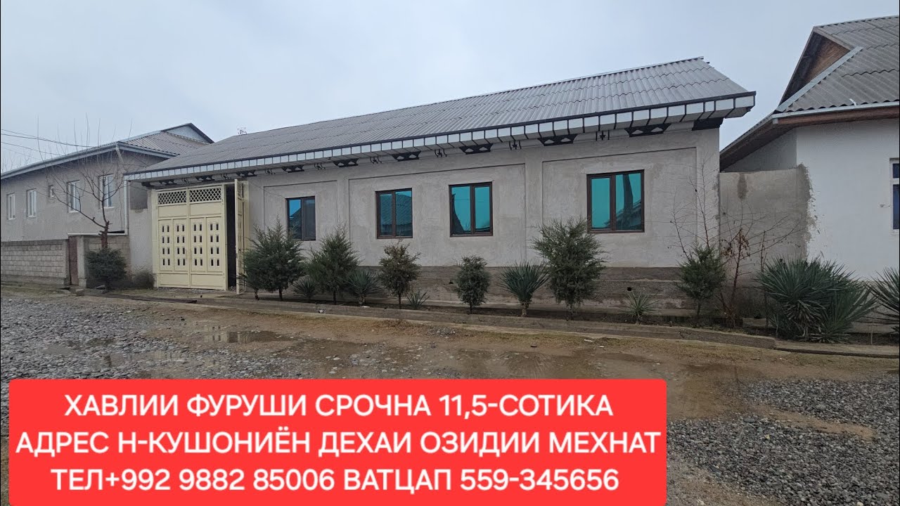 Н-КУШОНИЁН ХАВЛИИ ФУРУШИ ЧИСЛОИ 17,01,2026,СОЛ.