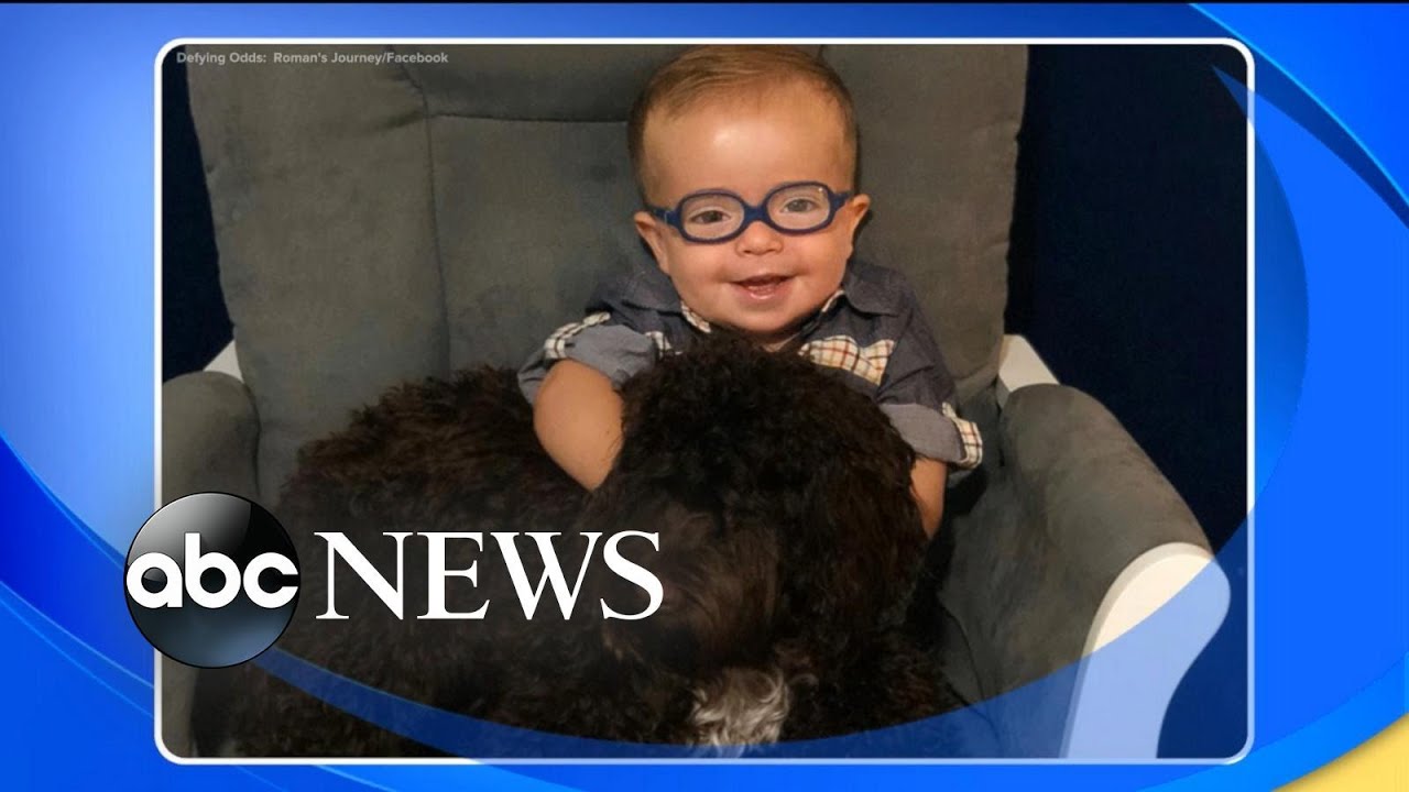 Adorable 2-year-old with spina bifida inspires millions