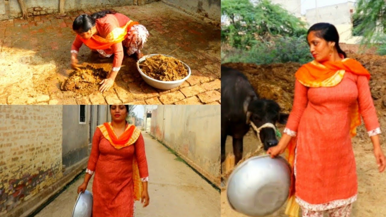 Village Life in Punjab (India )