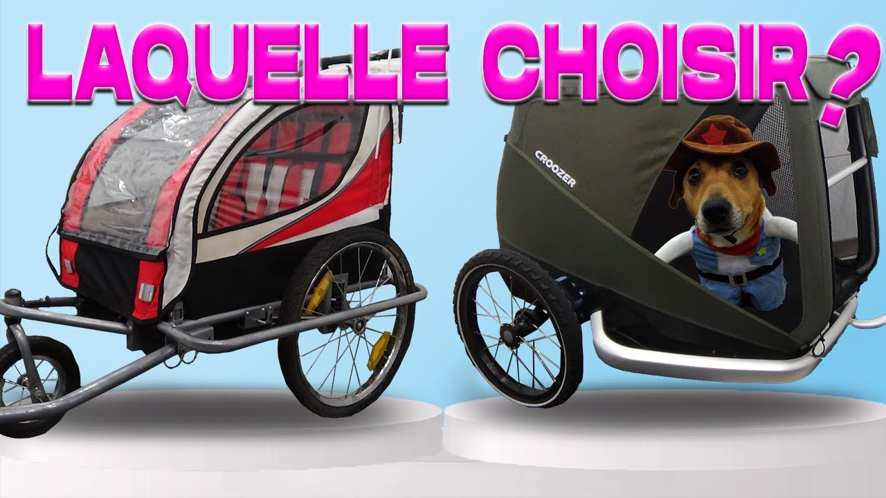 Remorque vélo pour chien(spécial road trip)