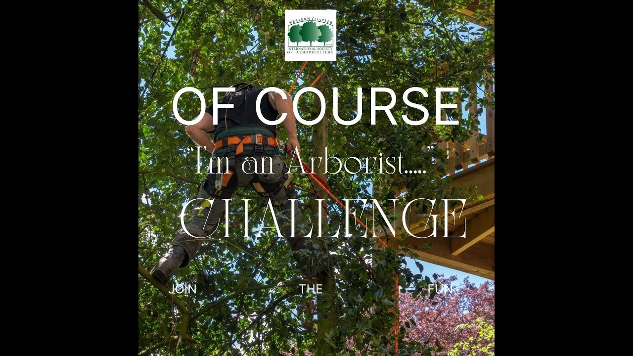 WCISA &ldquo;Of Course&rdquo; Challenge
