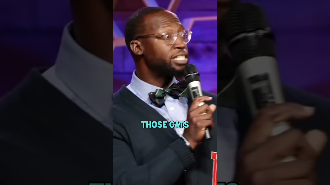 Почему все так помешаны на кошках?? #mikegoodwin #standupcomedy #cats #catpeople