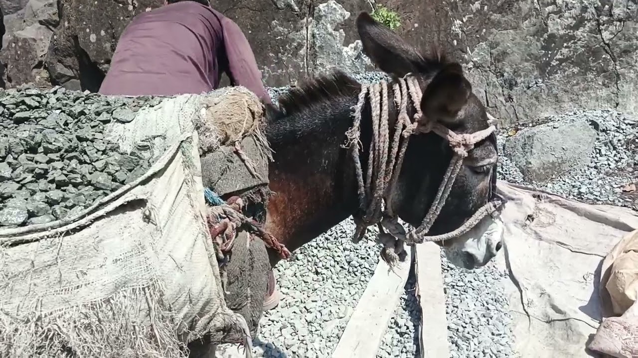 #reelsvideo #jannatkashmir #azadkashmir #followforfollowback #highlights 