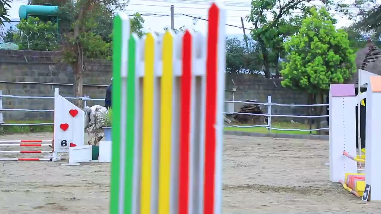Horse Riding Competition