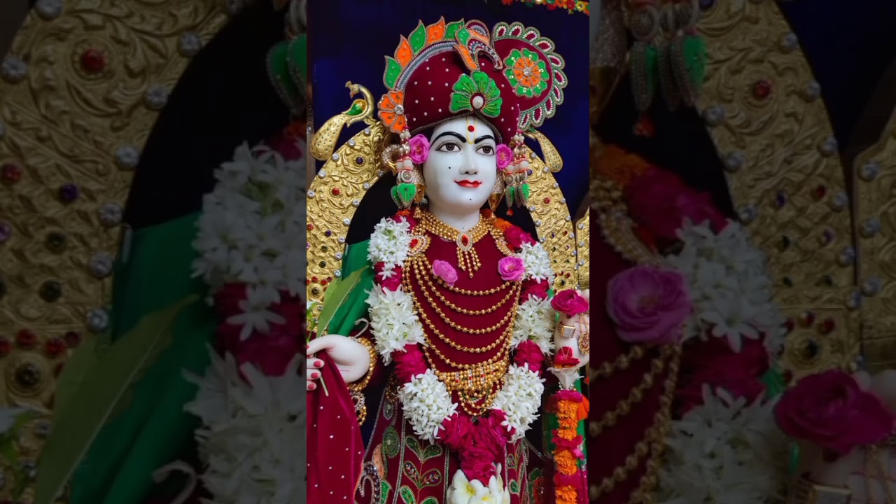 || JAY SWAMINARAYAN KHOPALA DAILY DARSHAN || #jayswaminarayan  ||
