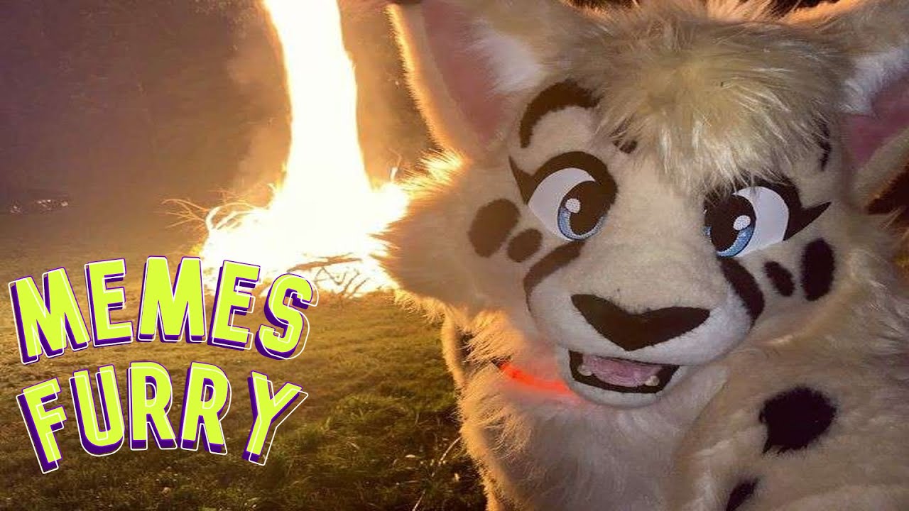 Memes Furry #27