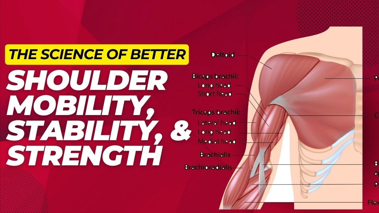 How To Use Science To Improve Shoulder Strength, Stability, & Mobility At Once!