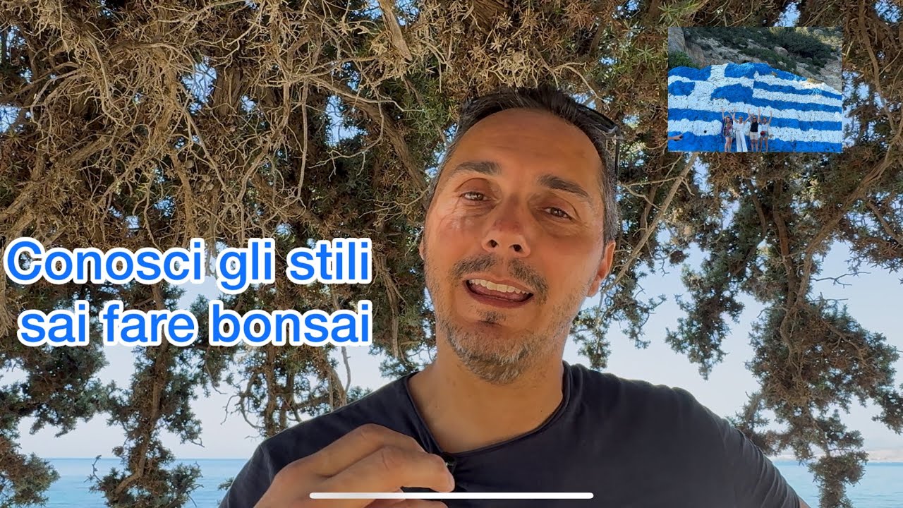 Conosci gli stili, saprai fare bonsai, impara dalla natura!