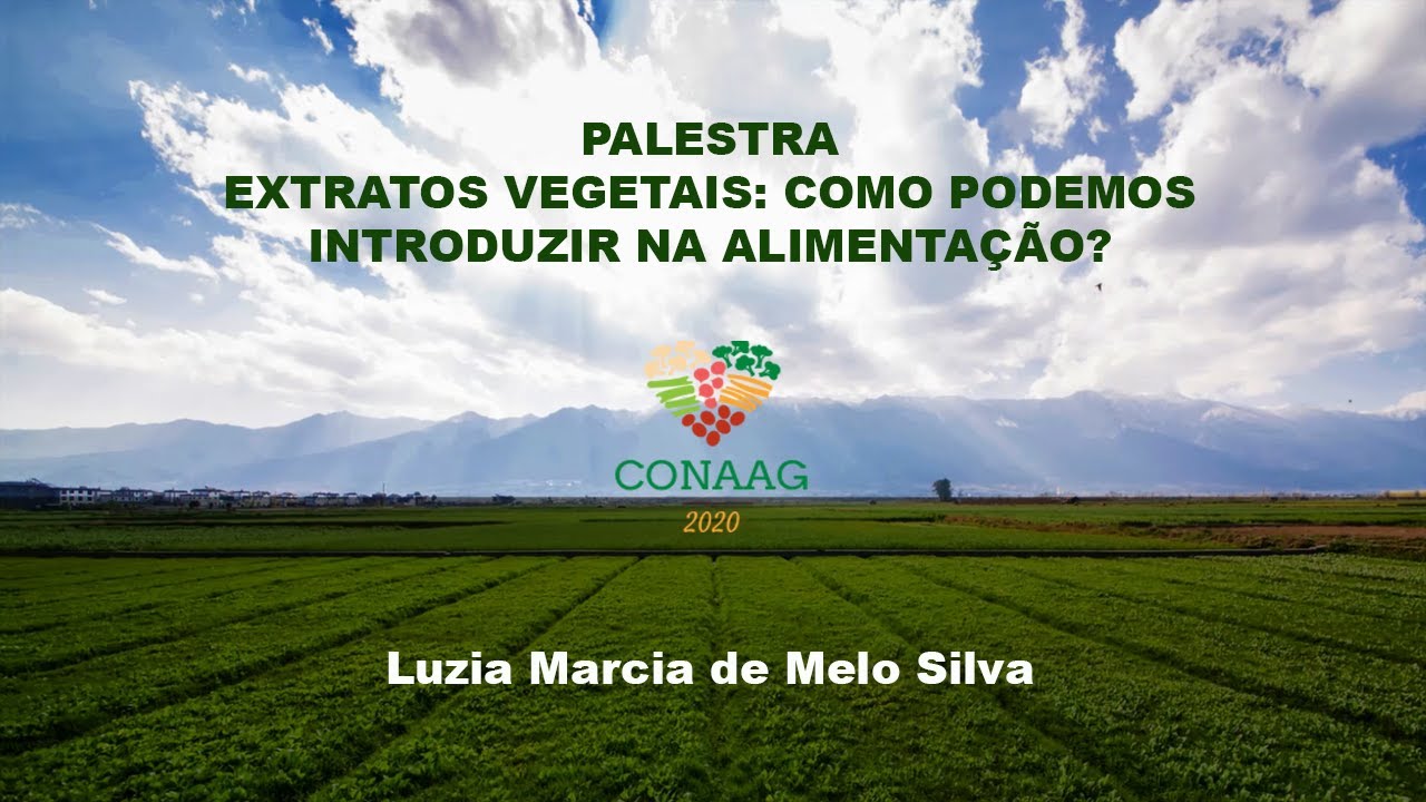 Palestra - 