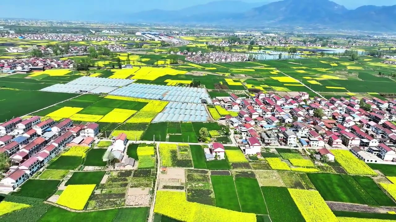 Golden Sea of Rapeseed Flowers | Drone Reveals China&rsquo;s Ancient Spring Wonderland &mdash; Hanzhong