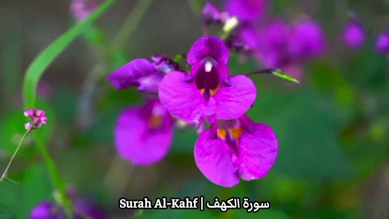 خواتيم سورة الكهف 