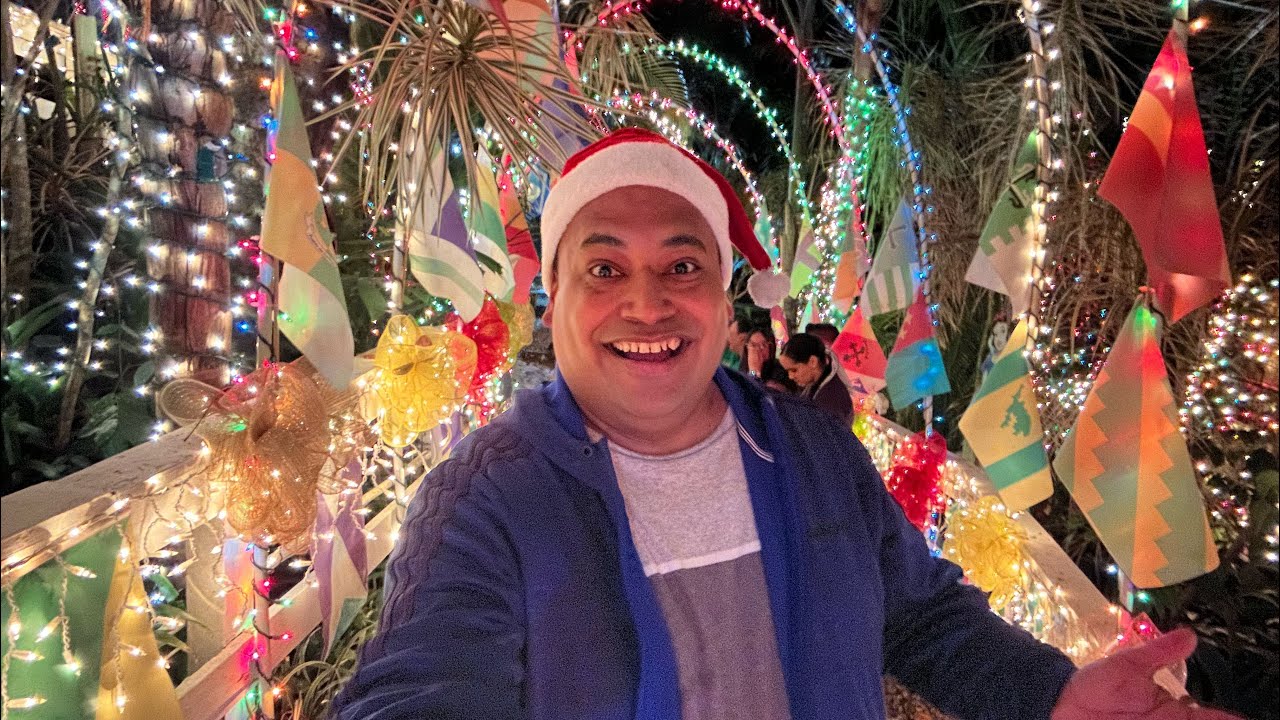 Bosque navideño en Jayuya, Puerto Rico 🇵🇷.