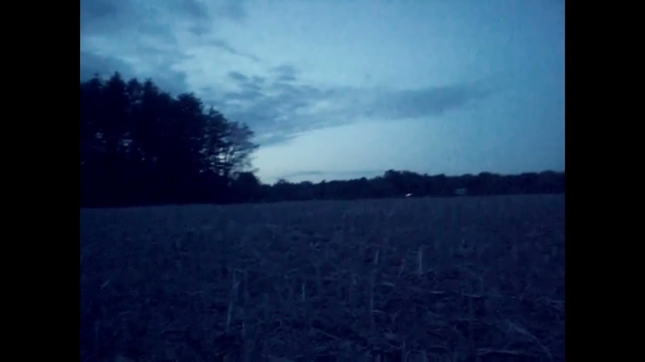 Industry Standard - Transmigration Hospice (Music Video)