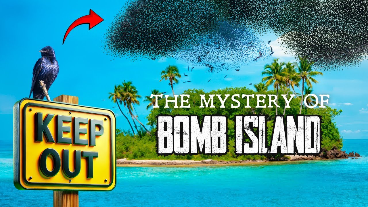 The Mystery of Bomb Island | The Purple Martin Phenomenon