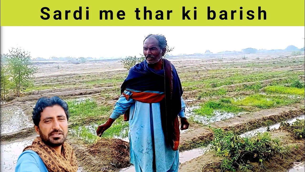 Winter rain in thar desert l Rare & beautiful weather l daily vlog