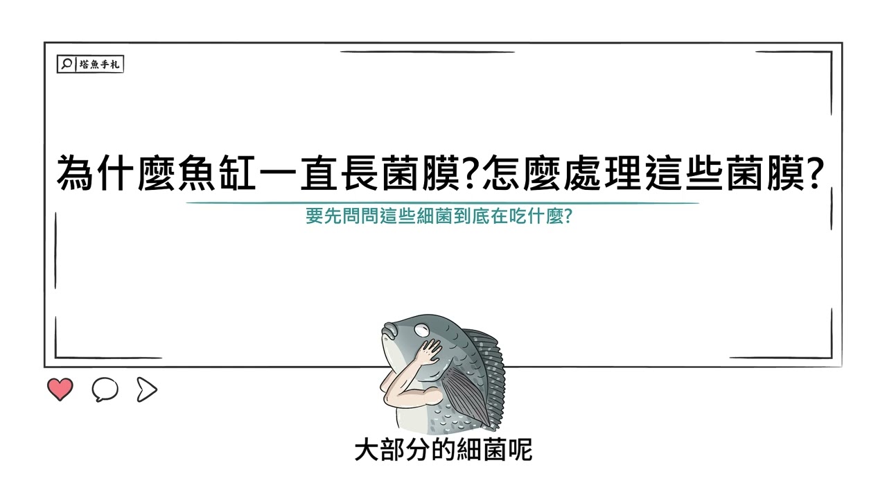 [水族大大不要聽]Ep62 為什麼魚缸一直長菌膜? 這些菌膜要怎麼處理呢?