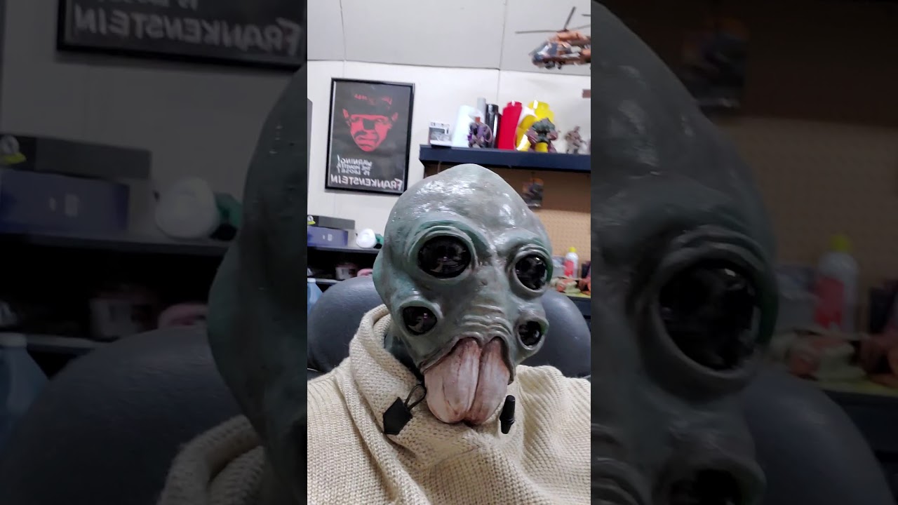Star Wars Aqualish custom mask