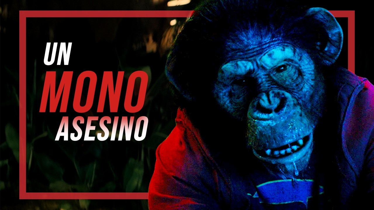 papá, el mono se volvió loco