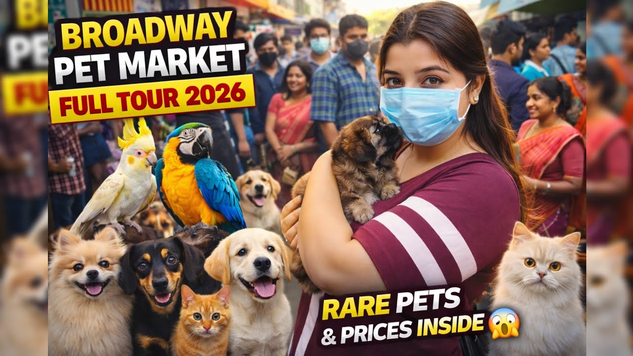 Broadway Pet Market Chennai Full Tour 2026 🔥 Exotic Pets, Prices & Rare Animals Revealed
