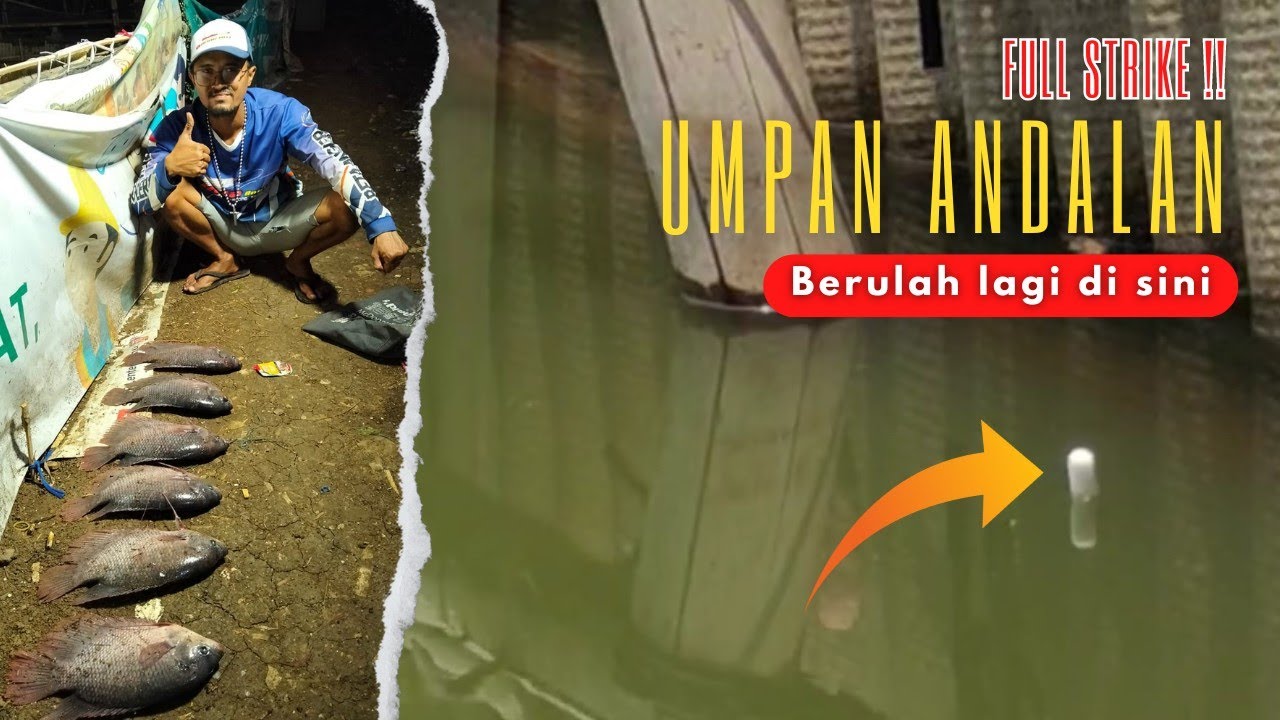 Mancing Gurame‼️umpan andalan selalu memberi kejutan di PMC Asep Cipondoh