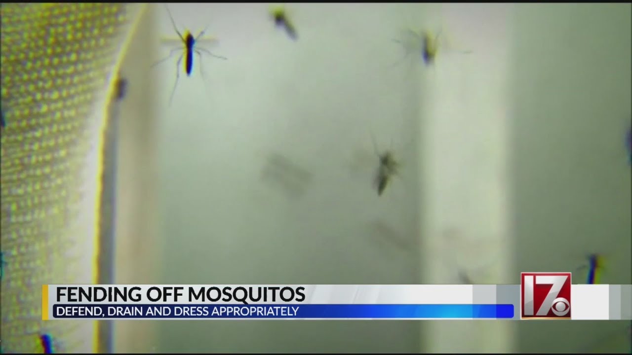 Mosquito season cranks up in North Carolina