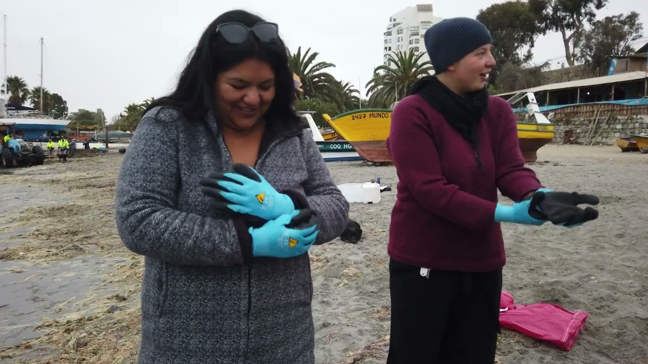 Parte 1: Muestreo en Playa - 2025
