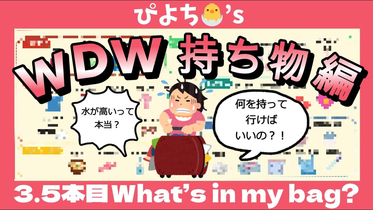 【第3.5回持ち物編】フロリダディズニー旅行記【現地調達、ネットスーパーなど】