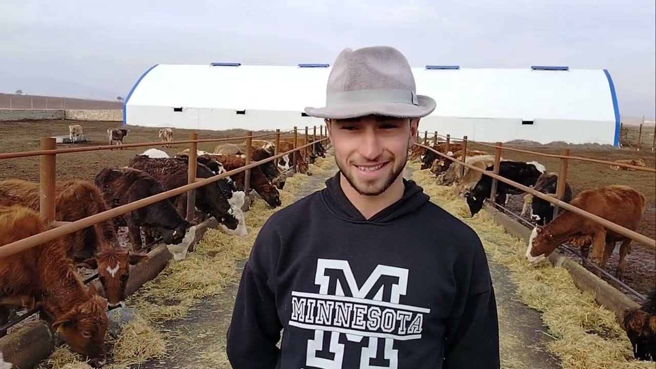 AFYONKARAHİSARIN EN BÜYÜK ANGUS🐄🐄 MELEZLEME İŞLETMESİ/YILDA 200 BUZAGI 🐄🐄/10 MİLYON KAZANÇ