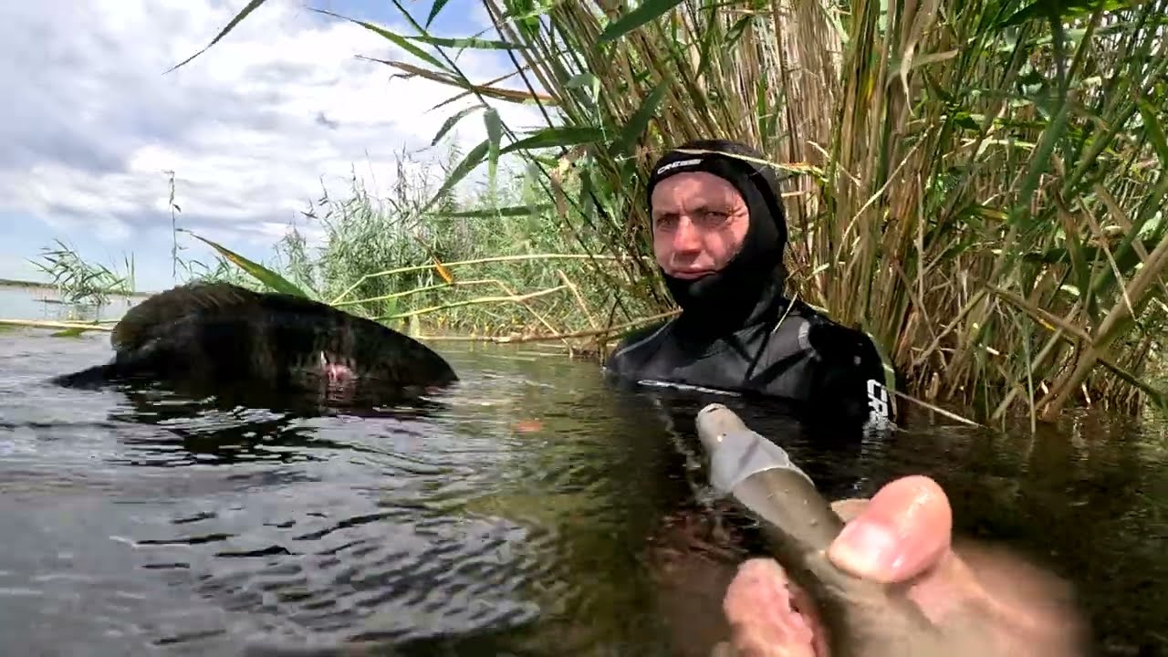 Рыбалка в Дельте реки Или. Белый Амур на камыш. Подводная охота. 3 Часть.
