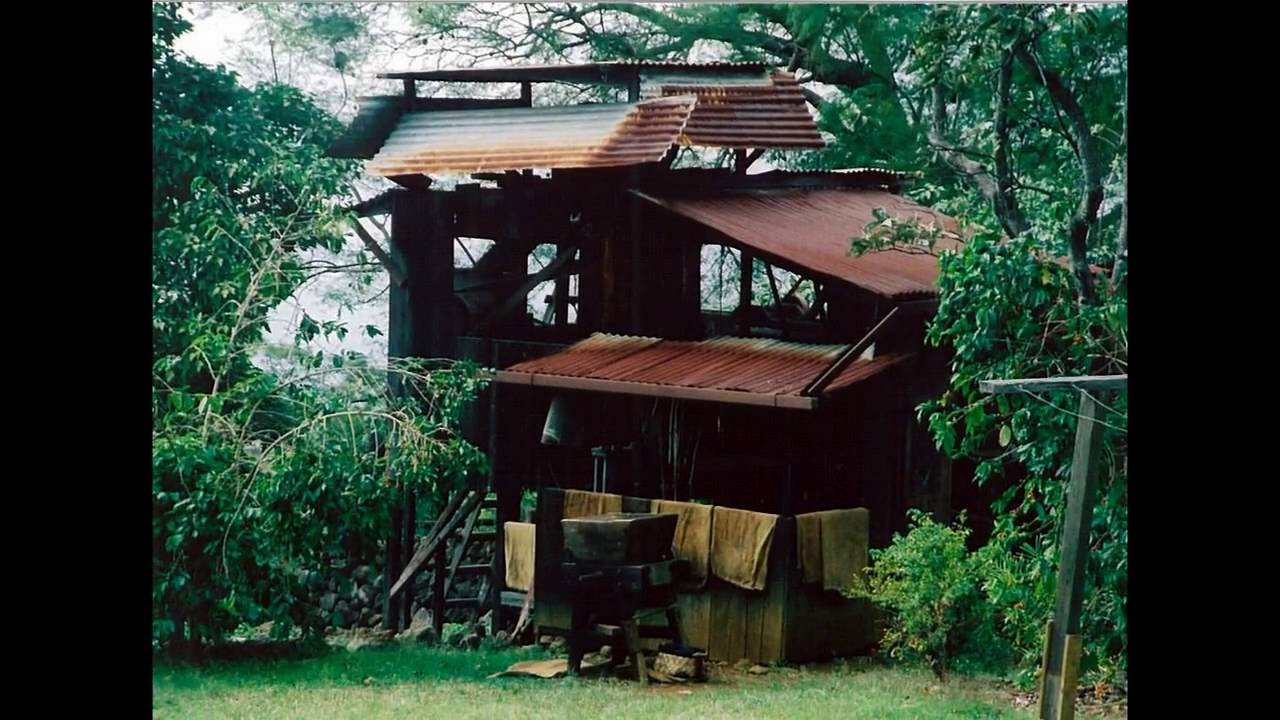 Kona Coffee Living History Farm