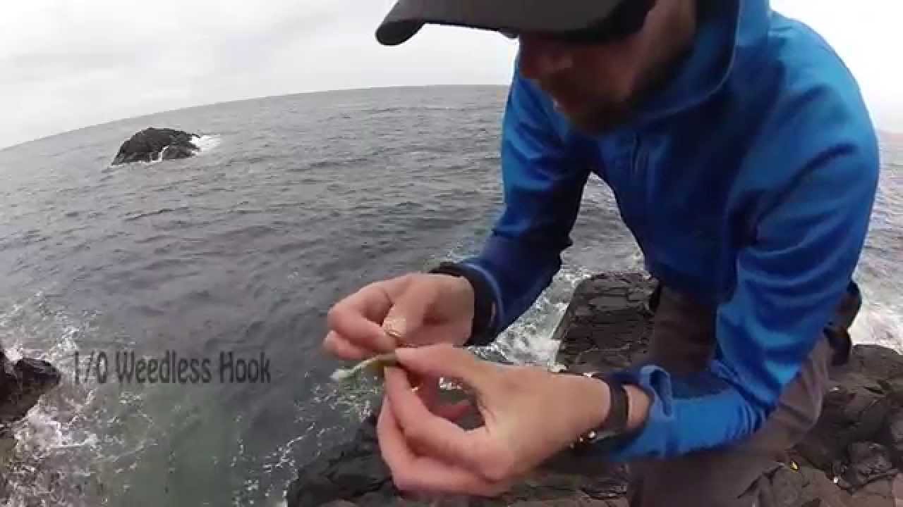 Lure Fishing For Pollack at St. Abb's Head