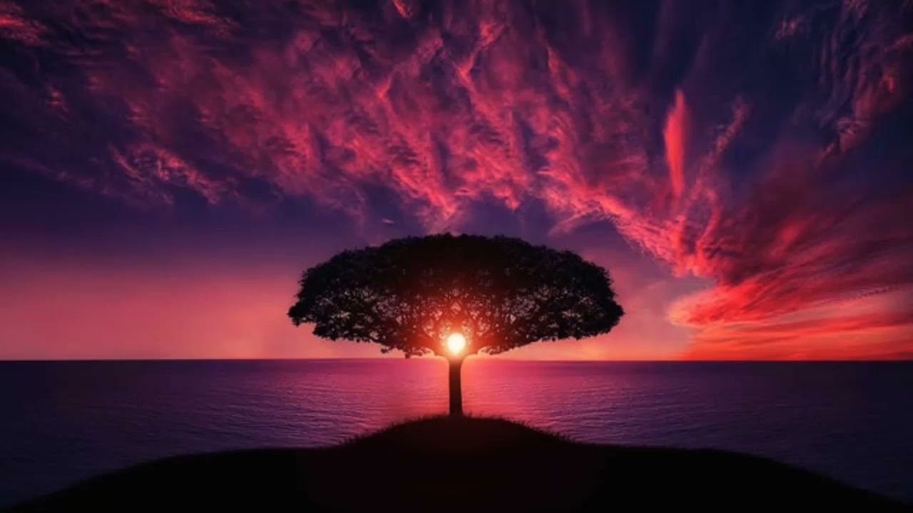 Relaxinig Sleep Music | Relaxing Music, Deep sleep Music, Meditation Music, Background Music
