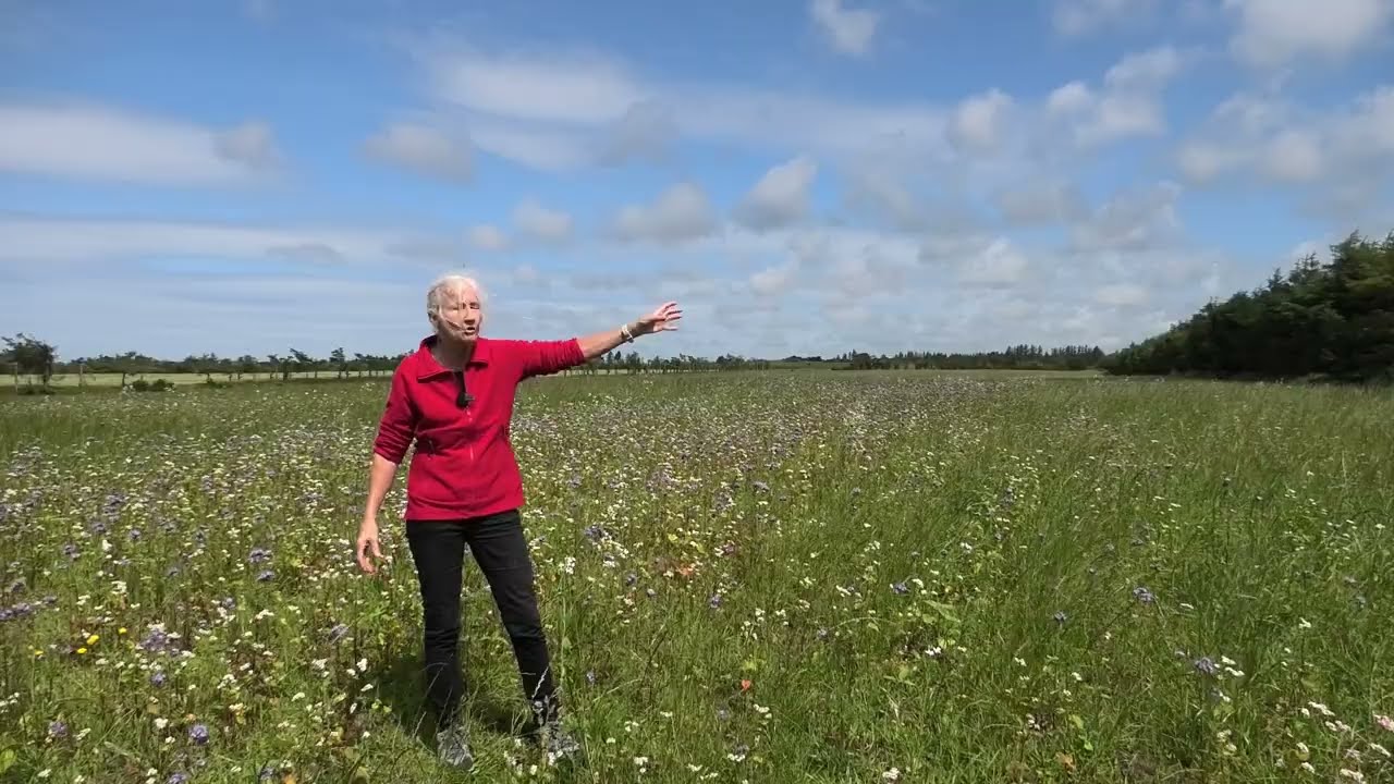 Hvad fundene viser